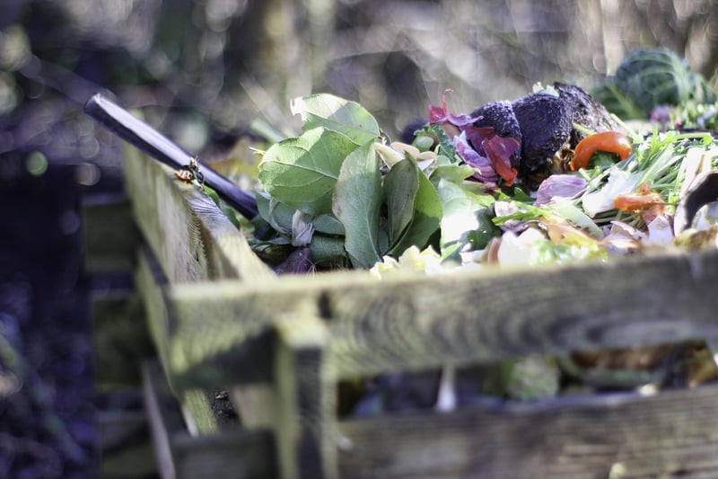 Zero-Waste Cooking